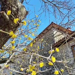 https://bujtina-tusha.hotels-in-tirana.com